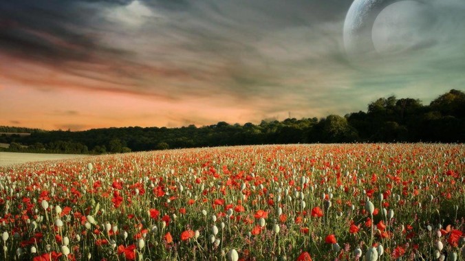 如何看待网上说的:凡是有阿里、华为经历的一律不要？